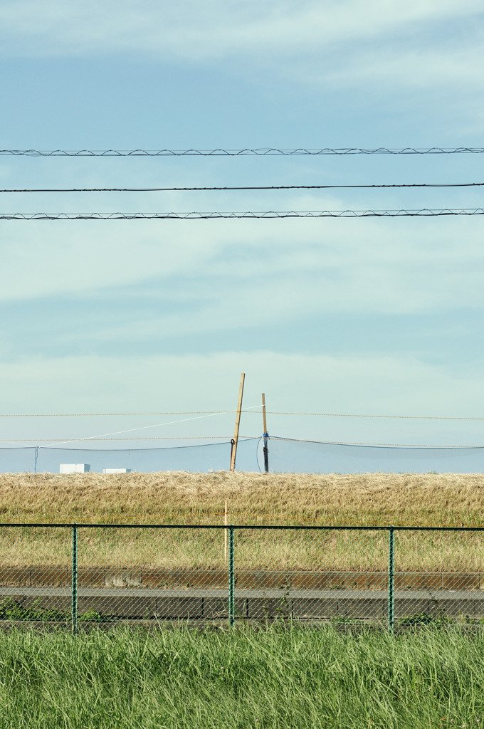 turn Left (14)