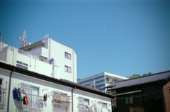 体温プラス10度C (18)