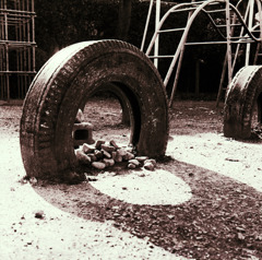 古い日差し (02)