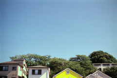 体温プラス10度C (11)