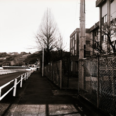 古い日差し (07)