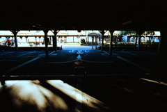 1月10日 (10) 1月10日 (10)