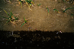 ココとソコ (03) ココとソコ (03)