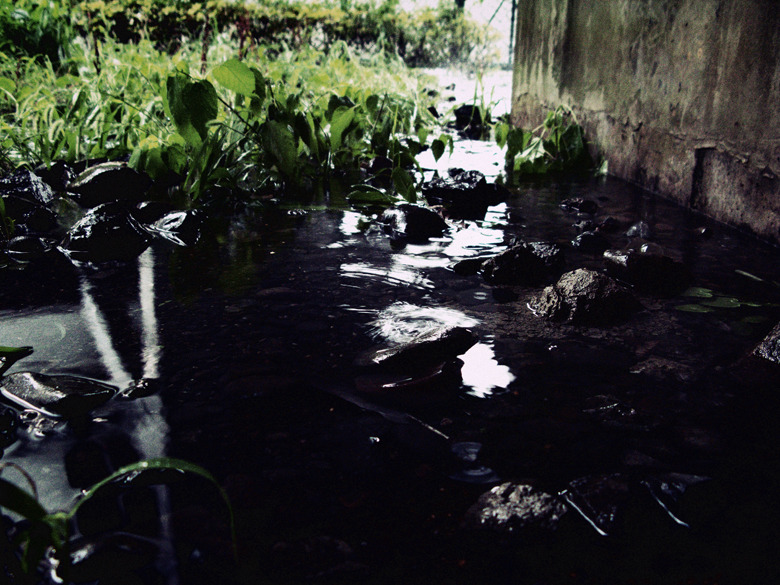 in line, water (17)