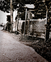 写シンの由来 (03)