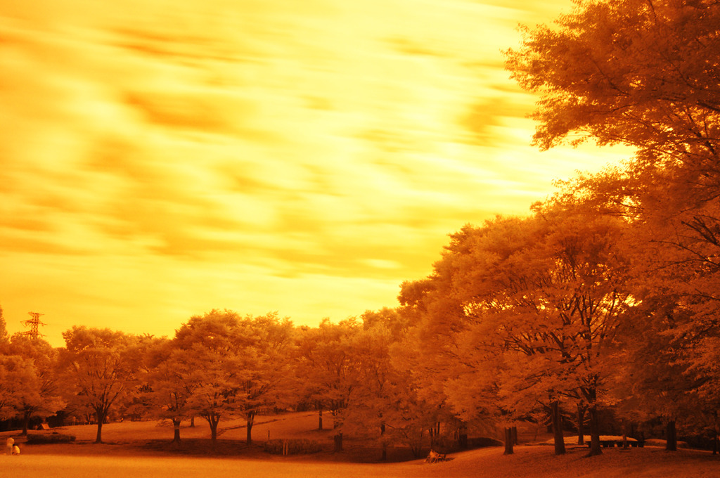 GARDEN INFRARED (02)