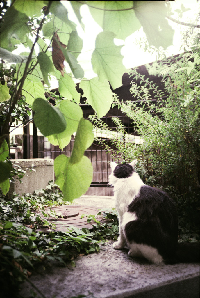 Lomography workshop (20)