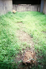 Lomography workshop (04)