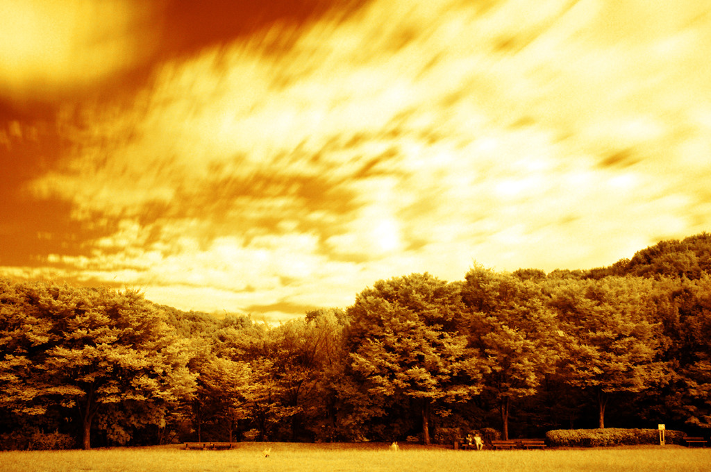 GARDEN INFRARED (14)