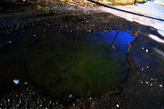 スナッピンフィールド (13)