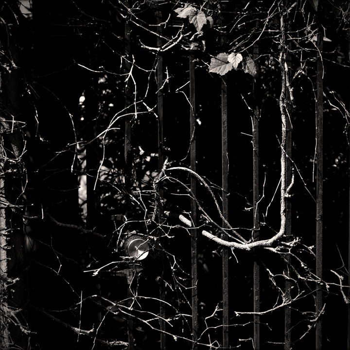 Objects Portrait (16)