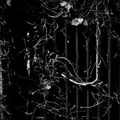 Objects Portrait (16)