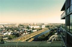 スナッピンフィールド (16)