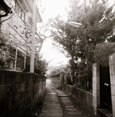 古い日差し (18)