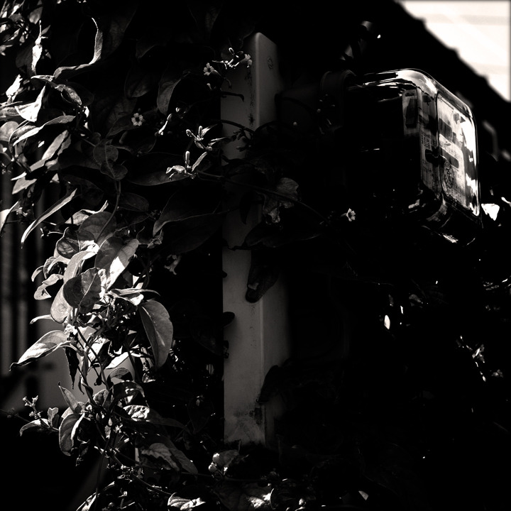 Objects Portrait (07)