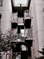 写シンの由来 (05)