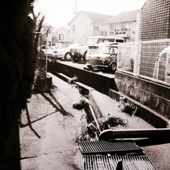 古い日差し (05)