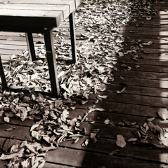 古い日差し (17)