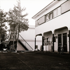 古い日差し (03)