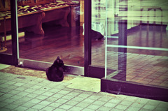 プール通学路 (10)