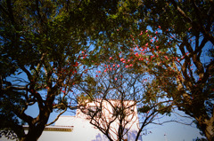 1月10日 (16) 1月10日 (16)