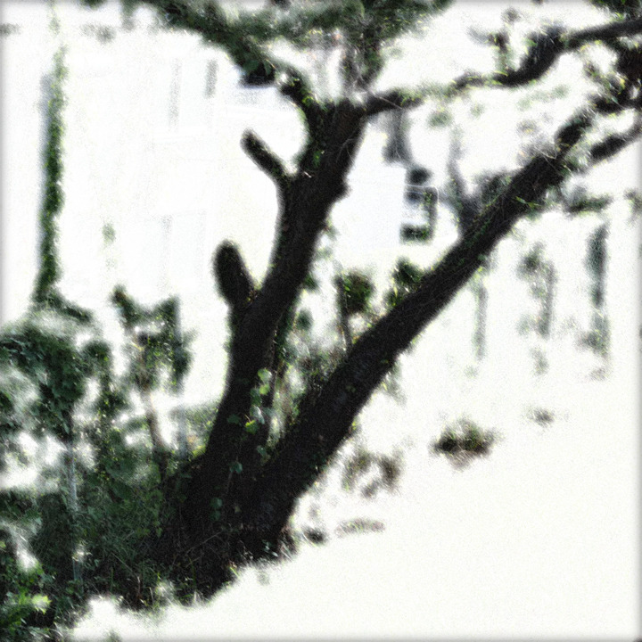 WHITE NOISE (06)