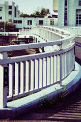 プール通学路 (20)