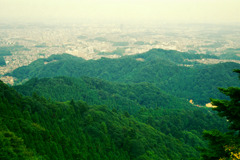 後頭部など (17)