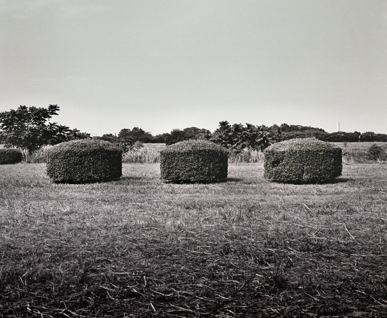 写シンの由来 (16)