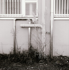 古い日差し (14)