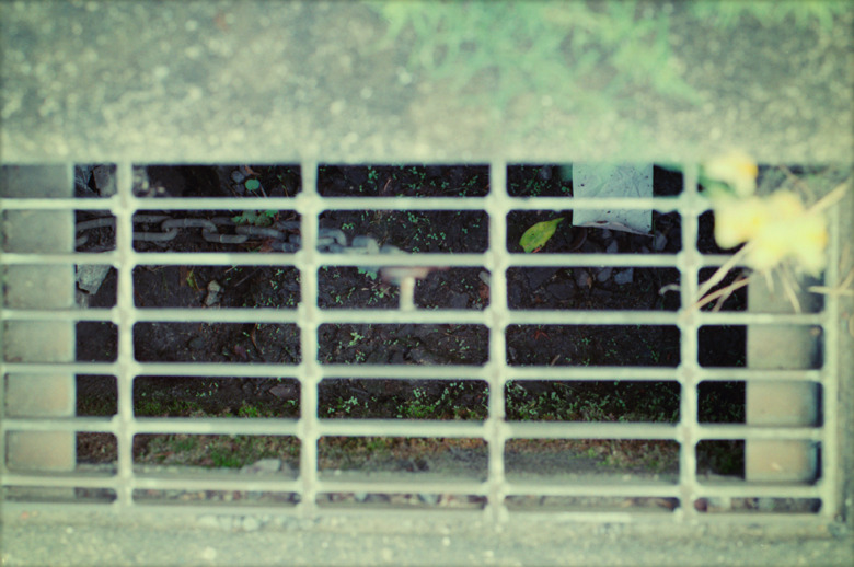 『 leaf 』(13)