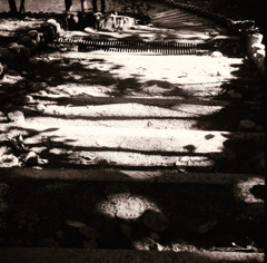 古い日差し (11)