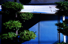 12月11日 (15)