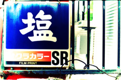 11月13日 (10)