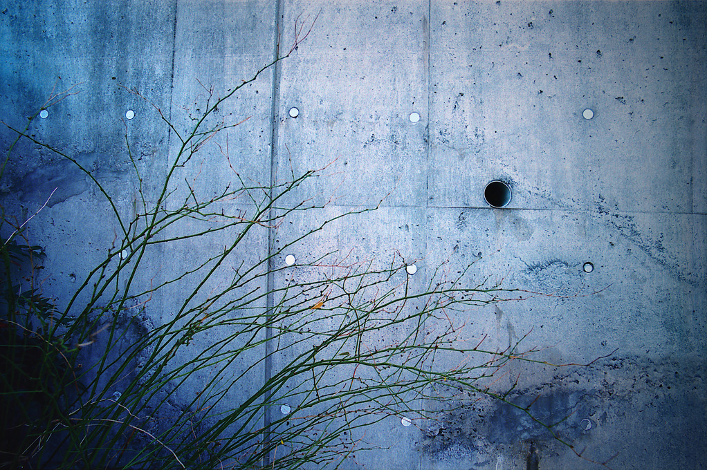 2月13日 (05)