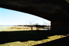 1月10日 (11) 1月10日 (11)