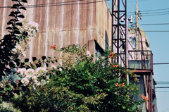 プール通学路 (03)