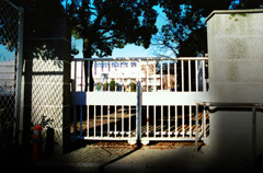 1月10日 (12) 1月10日 (12)