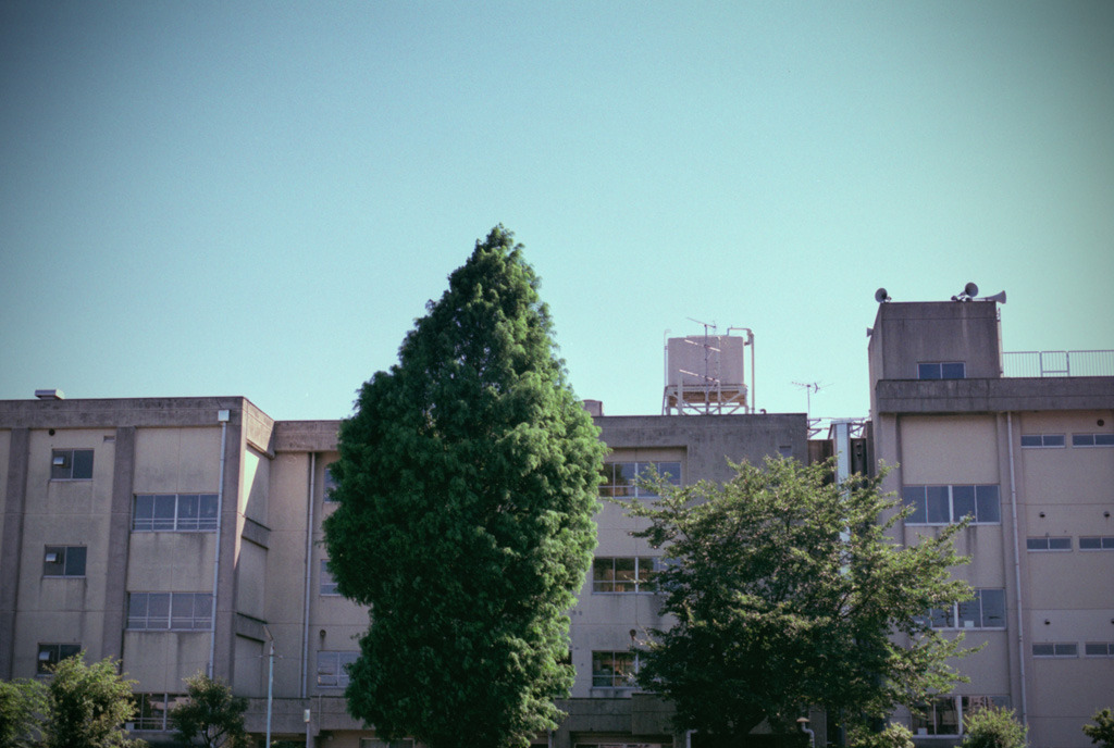 体温プラス10度C (17)