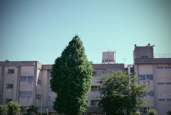 体温プラス10度C (17)