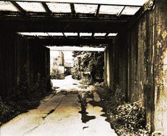 写シンの由来 (10)