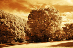 GARDEN INFRARED (19)