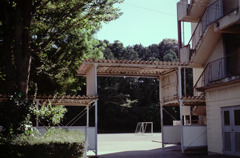 体温プラス10度C (15)