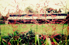 冷えた面・暖かな中心 (19)