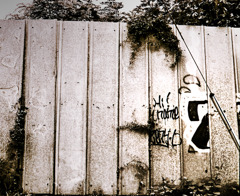 写シンの由来 (12)