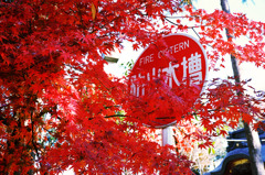 12月11日 (12)