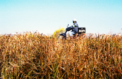 スナッピンフィールド (07)