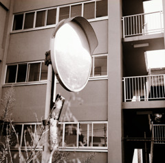 古い日差し (13)