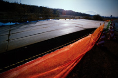 1月10日 (18) 1月10日 (18)