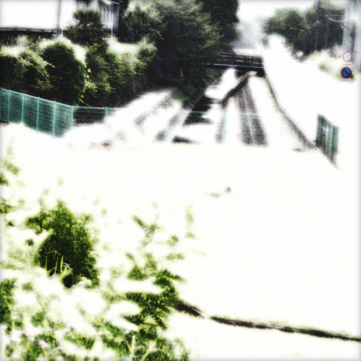 WHITE NOISE (18)